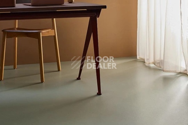 Линолеум Marmoleum Solid Cocoa 3588 eucalyptus фото 1 | FLOORDEALER